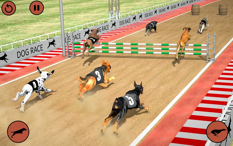 Hướng Dẫn Chơi Game Nhanh Đua Chó Tại Nohu90 Để Thắng Thưởng Hấp Dẫn 2 Hướng Dẫn Chơi Game Nhanh Đua Chó Tại Nohu90 Để Thắng Thưởng Hấp Dẫn