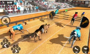 Hướng Dẫn Chơi Game Nhanh Đua Chó Tại Nohu90 Để Thắng Thưởng Hấp Dẫn