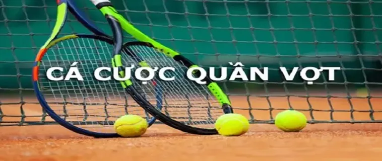 Khám Phá Cá Cược Quần Vợt Nohu90: Trải Nghiệm Kịch Tính Với Kèo Hấp Dẫn 2 Khám Phá Cá Cược Quần Vợt Nohu90: Trải Nghiệm Kịch Tính Với Kèo Hấp Dẫn